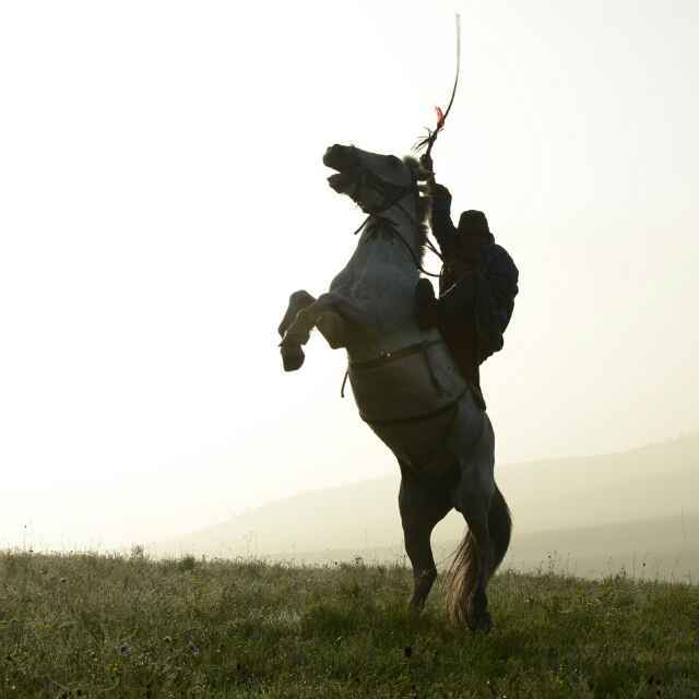 學(xué)海無(wú)涯，伏櫪前行