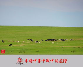 老驥伏櫪，志在千里 單騎穿越中蒙、中俄、中朝邊陲游記與攻略